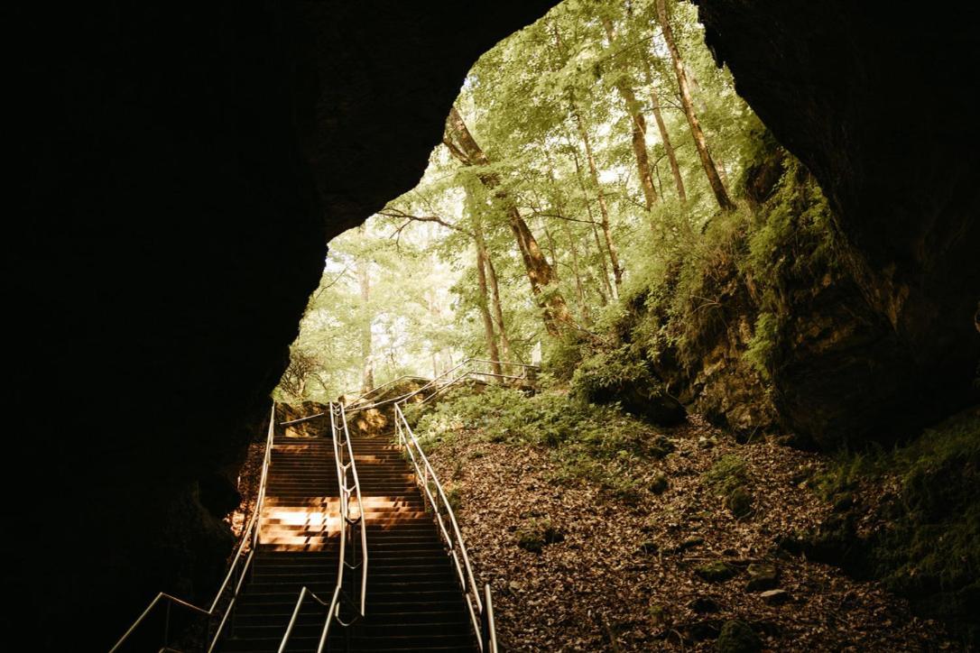 Mammoth Cave Lodge And Cabins Екстериор снимка